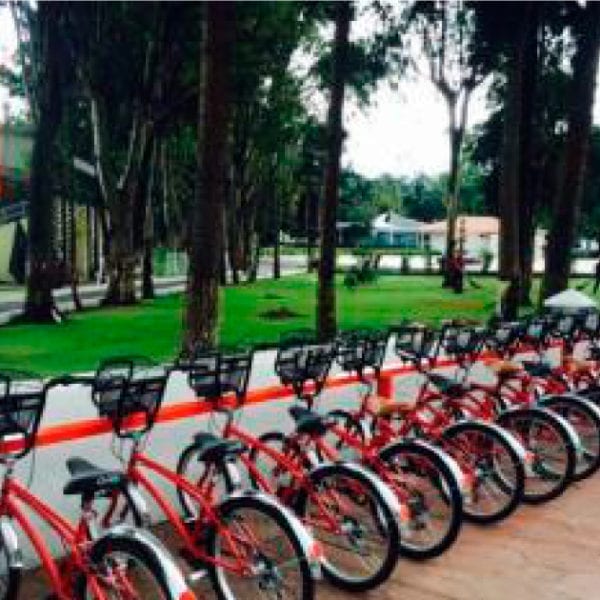 Electricas bikeon proyestos especiales 18