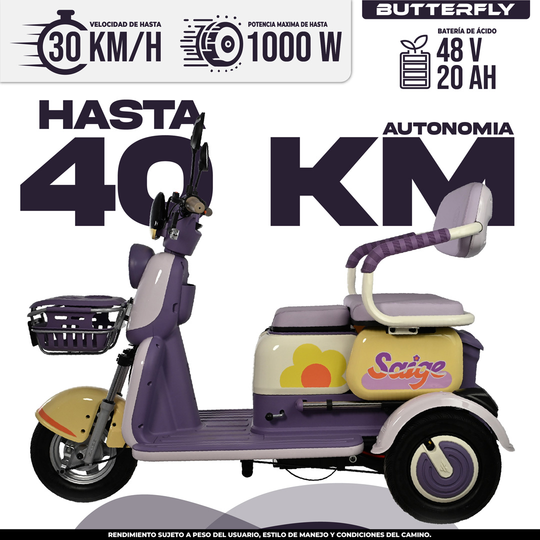 morada butterfly Morada butterfly